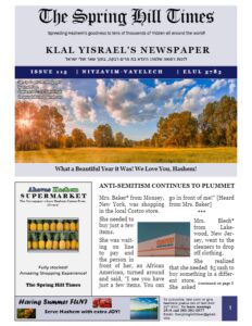 The Spring Hill Times Issue 115 Nitzvim Vayeilech 5783-thumbnail