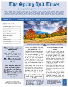 The Spring Hill Times Issue 69 Rosh Hashana-thumbnail