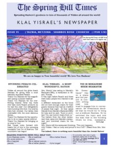 The Spring Hill Times Issue 95 Tazria Metzora-thumbnail