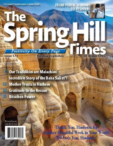 The Spring Hill Times Issue 175 Vayeishev 5785- Downloadable Version