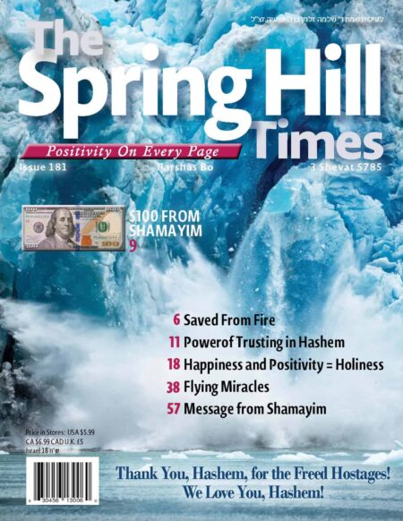 The Spring Hill Times Issue 181 Bo 5785 Downloadable Version