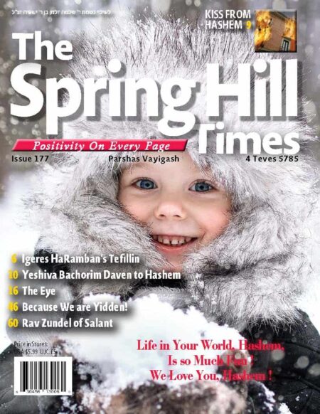 The Spring Hill Times Issue 177 Vayigash 5785- Downloadable Version