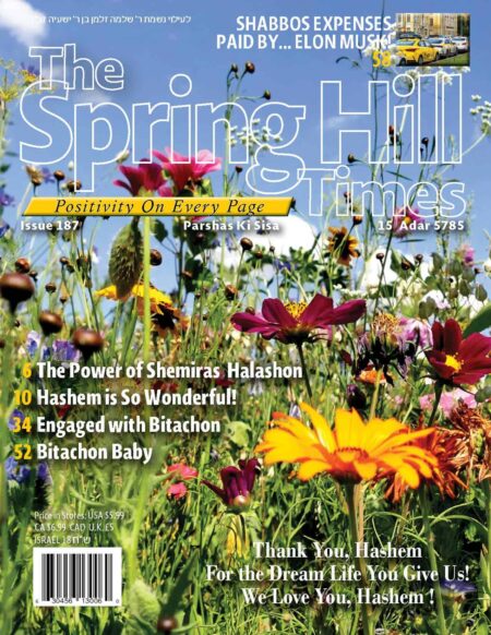 The Spring Hill Times Issue 187 Ki Sisa 5785