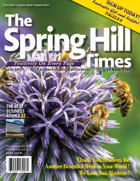 The Spring Hill Times Issue 189 Parshas Pekudei - Hachodesh 5785