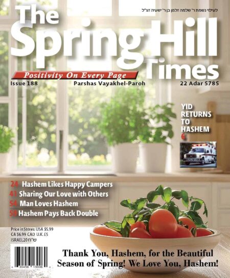 The Spring Hill Times Issue 188 Vayakhel- Parah 5785
