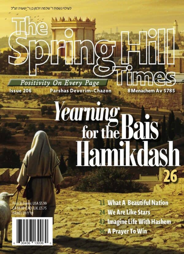 The Spring Hill Times Issue 206 Devarim - Chazon 5785
