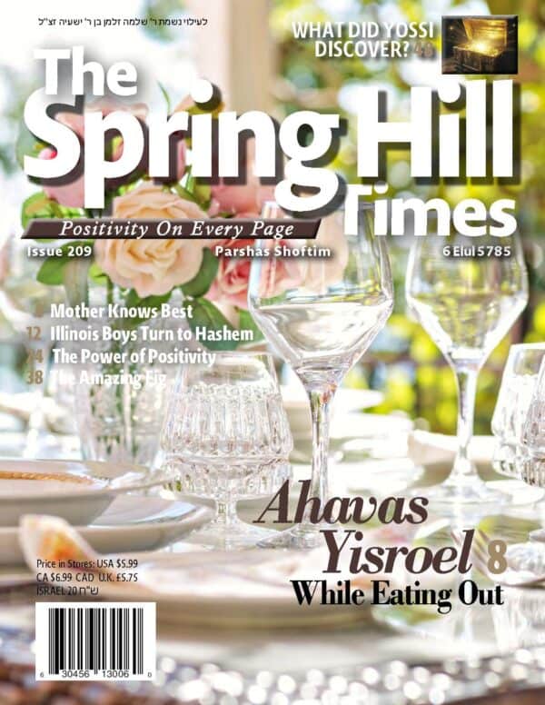 The Spring Hill Times Issue 209 Shoftim 5785
