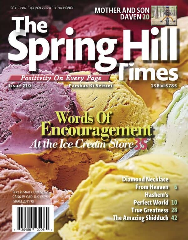 The Spring Hill Times Issue 210 Ki Seitzei 5785
