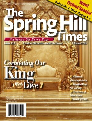 The Spring Hill Times Issue 212 Nitzavim-Rosh Hashana 5786