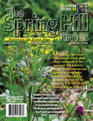 The Spring Hill Times Issue 220 Vayeitzei 5786