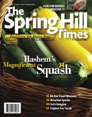 The Spring Hill Times Issue 224 Vayigash 5786