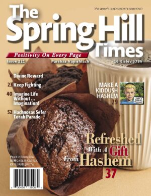 The Spring Hill Times Issue 221 Vayishlach 5786
