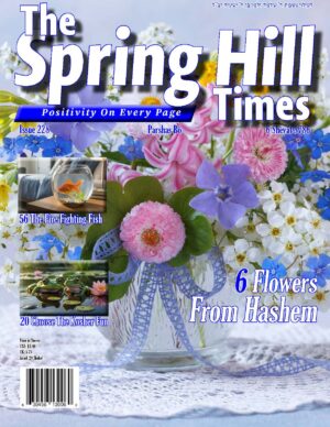 The Spring Hill Times Issue 228 Bo 5786