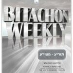 A9Rqx0pe0 1dypzvt 1l0